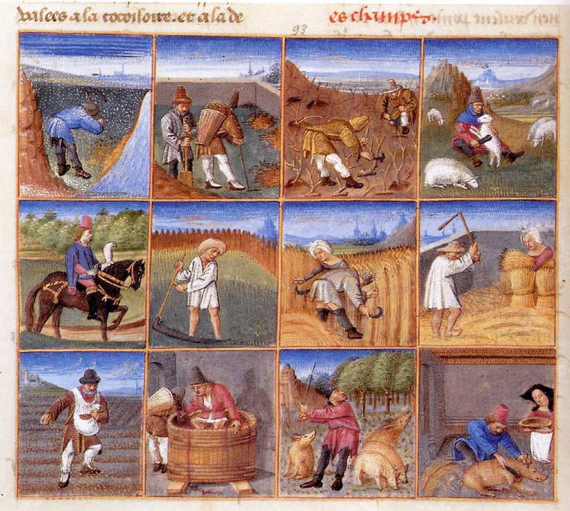 Image from the Book of Hours/ Très Riches Heures du Duc de Berry by the Limbourg brothers c1412 in the Musée Condé, Chantilly, France
