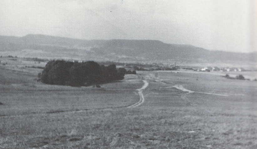 Viel Arbeit war nötig, um das BGS-Übungsgelände zu einer Start- und Landebahn umzugestalten (1960)