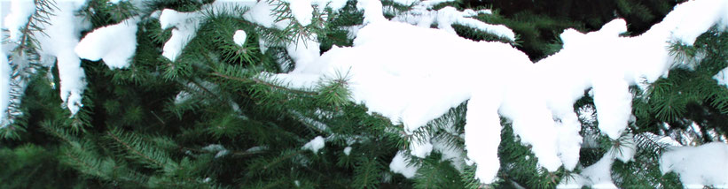 Foto Karin Jäckel