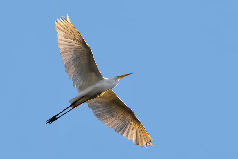 Z 180-600mm bei 400mm f/5.6