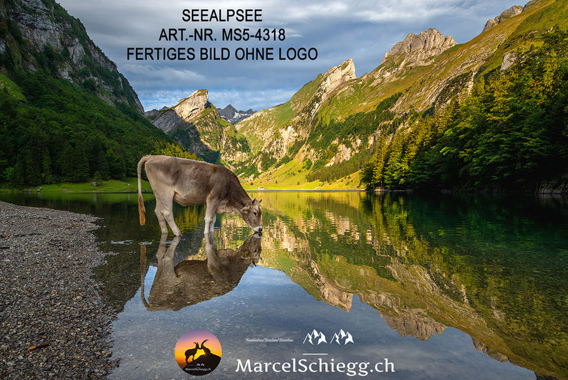 Bilder Seealpsee, Leinwandbild Seealpsee, Alpsteinbilder