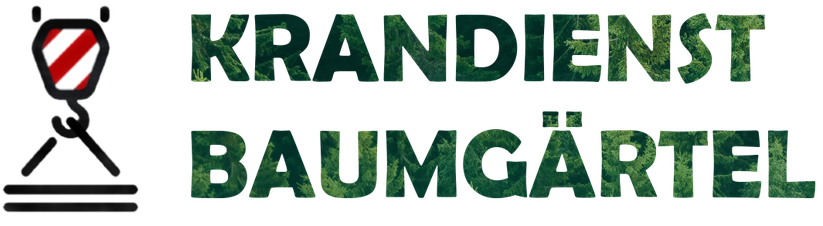 Kranverleih im Vogtland und Umkreis