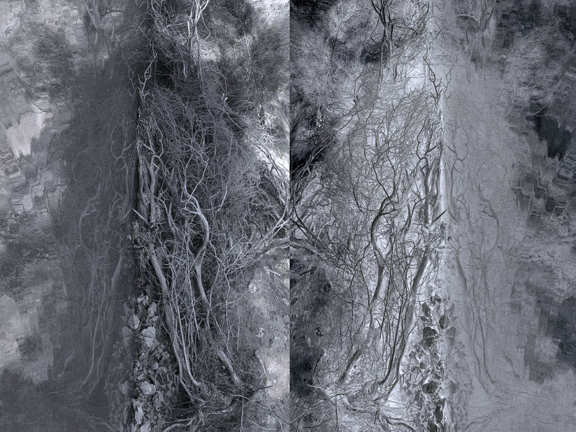 CHAOS