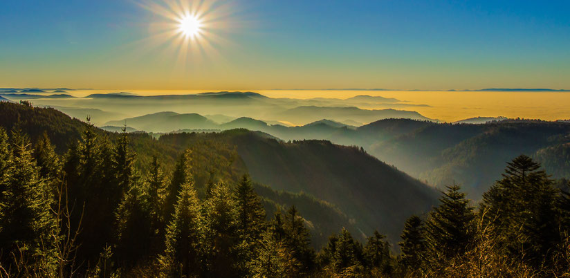 Sonnenaufgang über bewaldeten Bergkuppen – Symbol für Weite, Ruhe und Regeneration im Naturcoaching zur Stressbewältigung.
