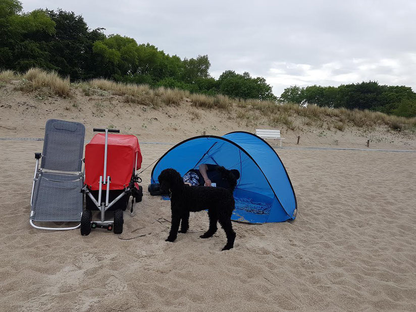 ulfBo - der wirkliche Strandwagen