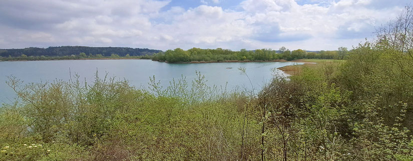 Südteil des Wullenstettener Natursees; Foto: Ralf Schreiber