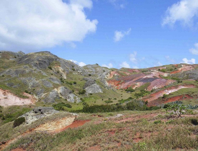 脅威 オガサワラカワラヒワ