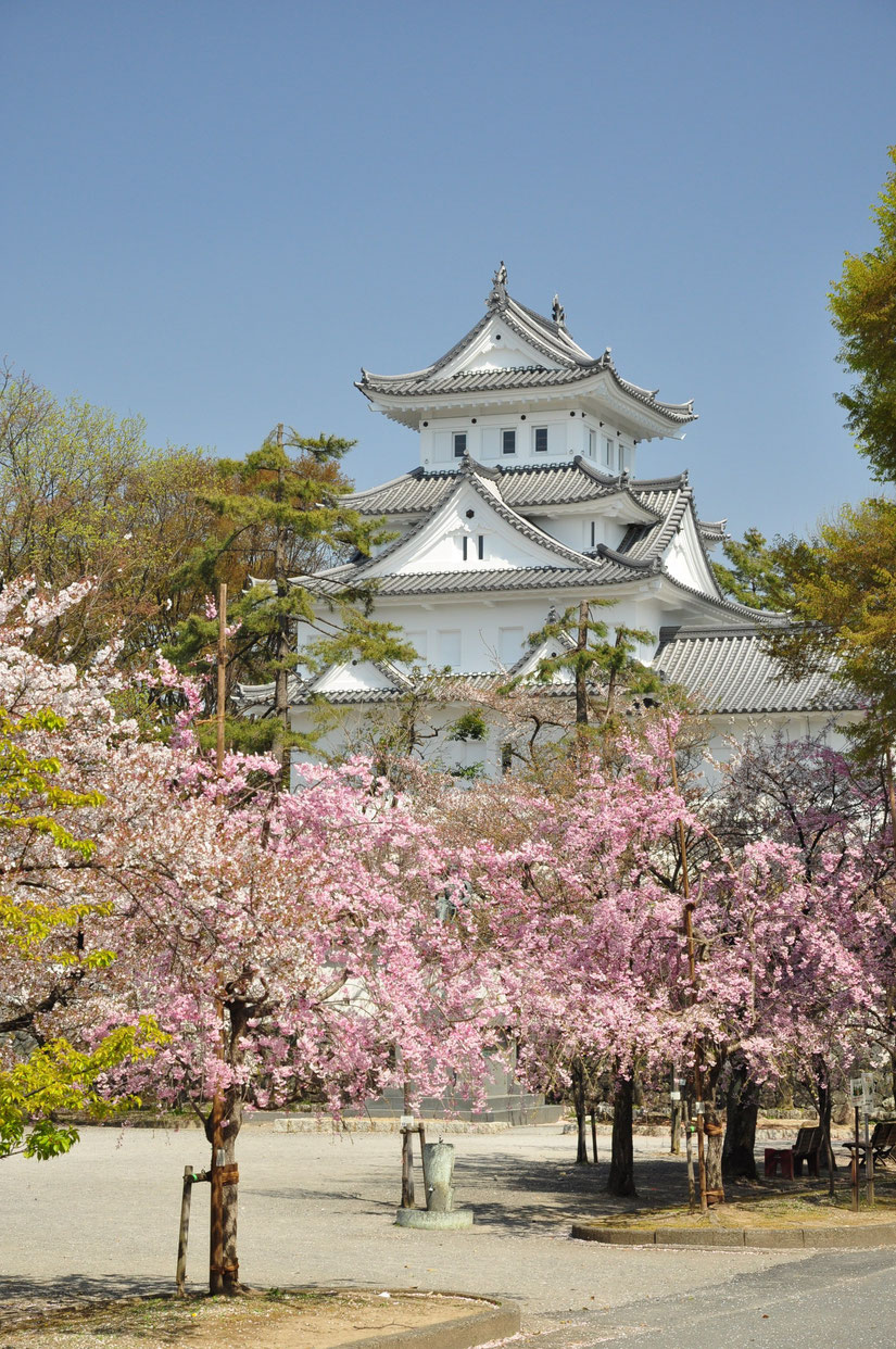 西美濃 大垣市 垂井町 揖斐川町 垂井町 海津町 神戸町 養老町 羽島市 瑞穂市 穂積 巣南 各務原市 関ヶ原町 大野町 大垣城 岐阜市 北方町 輪之内町 池田町 隠れ家 フォト婚 和婚 和装 花嫁 和ロケ 大人婚 着物女子 着物ロケ 思い出 写真館 記念日 金婚式 銀婚式 ロケ撮 岐阜ロケ 大垣ロケ ロケーション撮影 古民家 水の都 水都旅 隠れ家 ひまわり畑 桜撮影 水門川下り たらい舟 住吉灯台 カミツレ畑 みどり橋 大垣城 火鉢カフェ 火鉢体験 昭和レトロ 大正レトロ 縁側カフェ 壽庵 ほっこり 