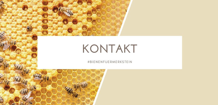 Kontakt zum Bienenzuchtverein Merkstein, Bienenverein Aachen, Imkerverein Merkstein, Honigbiene Eschweiler