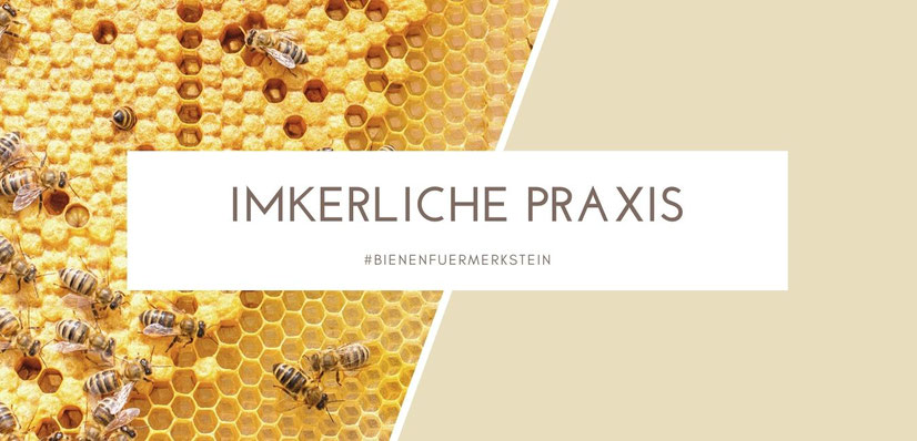Imkerliche Praxis, Honigbiene, Merkstein, Bienen