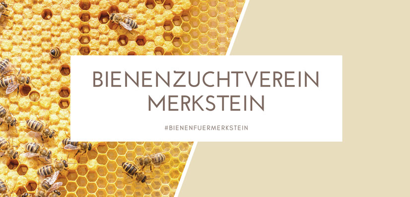 Imkerverein, Bienenzucht, Merkstein, Bienenfuermerkstein, Biene, Imker, Imkern, Honigbiene, Bienenstock, Bienenkönigin, Biene Maja, Honig, Aachen, Übach-Palenberg, Roetgen