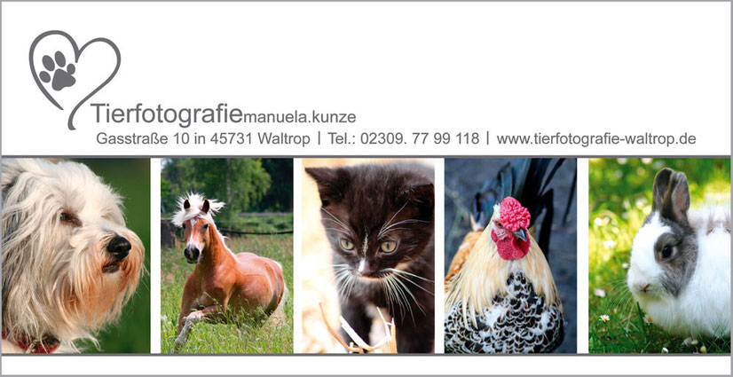  Geschenk Gutschein Rückseite