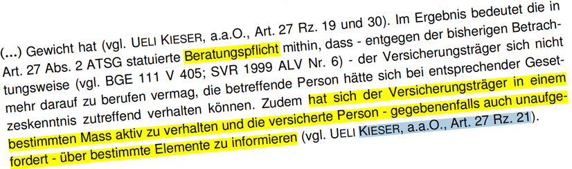 Netzbuch        gestravt        RAV-Fehler     ALK-Fehler   ALV-Fehler      Kieser       Behördenpfusch        Netzbuch      M. A. Rionette Kieser 