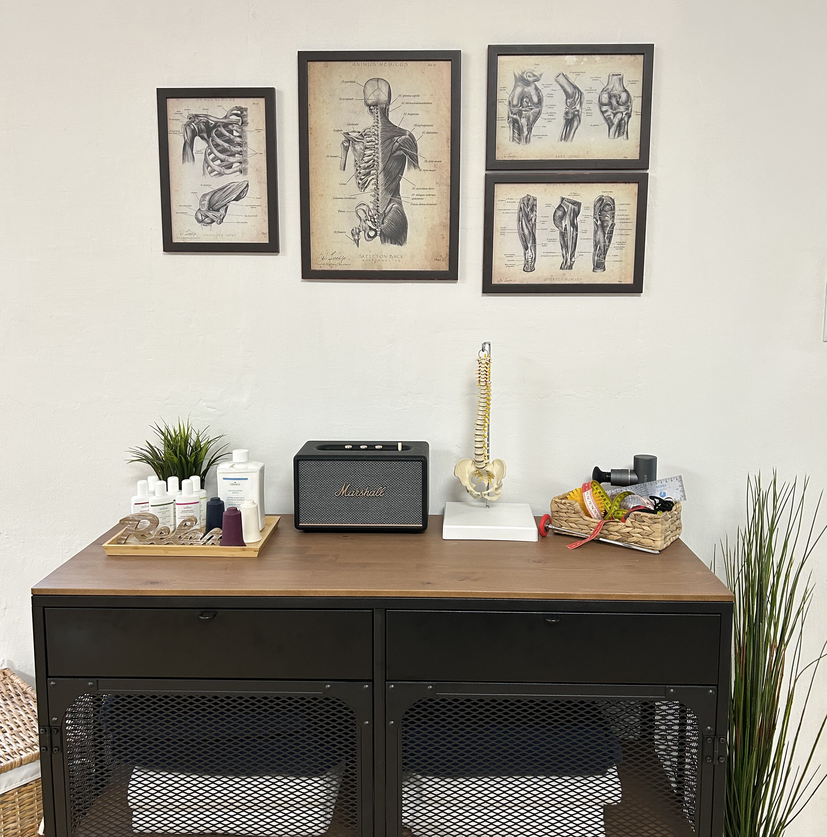 Physiotherapie Luger Praxis Raum mit Anatomie-Postern und Marshall Box