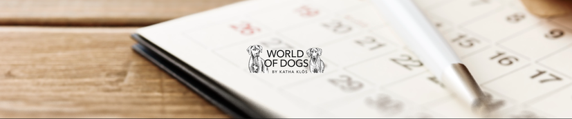 Hundeschule, Hundeschule Butzbach, Hessen, Online-Training, Hund, Kurse, Hundetraining