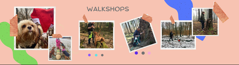 Socialwalk, Hundeschule, Training, Hundetraining, kleine Hunde, Spass und Beschäftigung, Hundeschule Butzbach