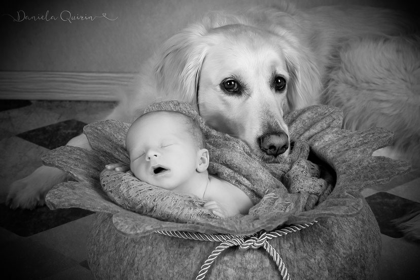 Newborn mit Hund 2019