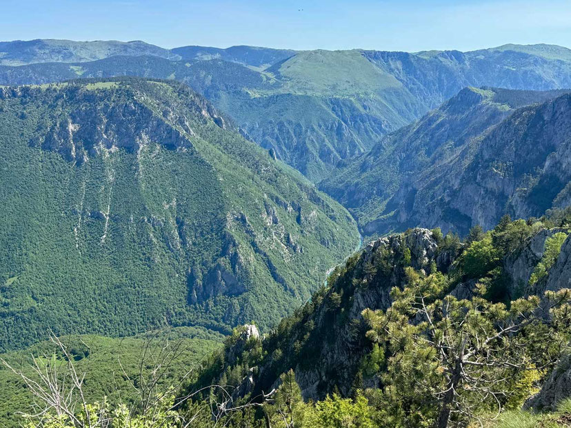 Taraschlucht 'Curevac' Aussichtspunkt