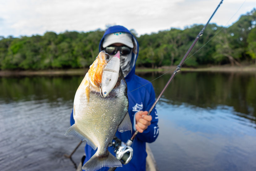 Peacock Bass Colombia fishing hanitas swimbait piranha