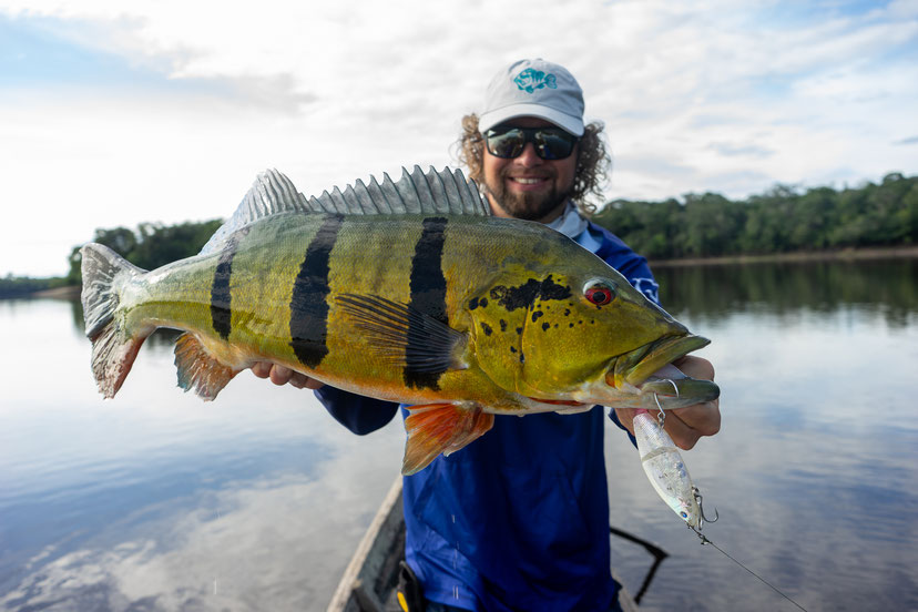 Peacock Bass Colombia fishing hanitas swimbait