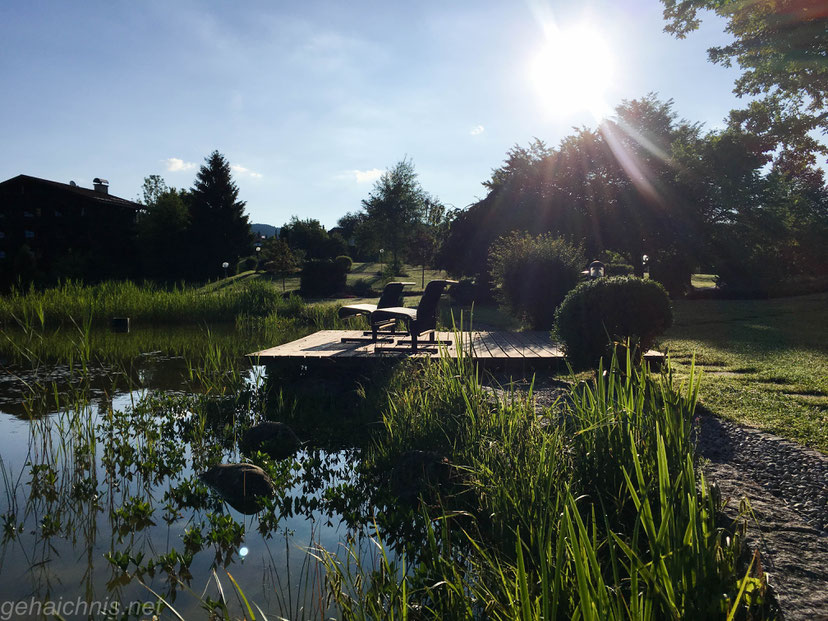 Morgenstimmung im Kurpark von Oberstaufen