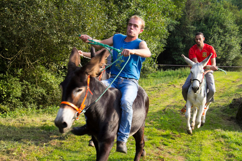 Asilų bėgtynės Jokūbo kelyje / Foto: Kristina Stalnionytė