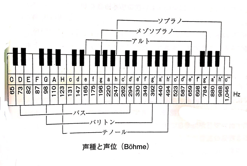 音域 テノール 【ファゴット】テノール音域を綺麗に出すには？ちょっとの意識の転換で音が変わります【音を出すときの想像力とテクニック】｜蛯澤亮｜note