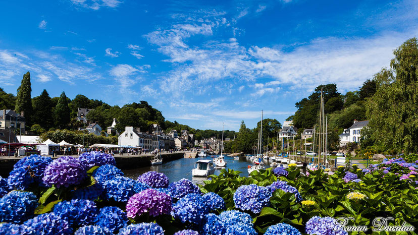 petit port de Pont-aven et ses hortensias dans le Finistère en Bretagne