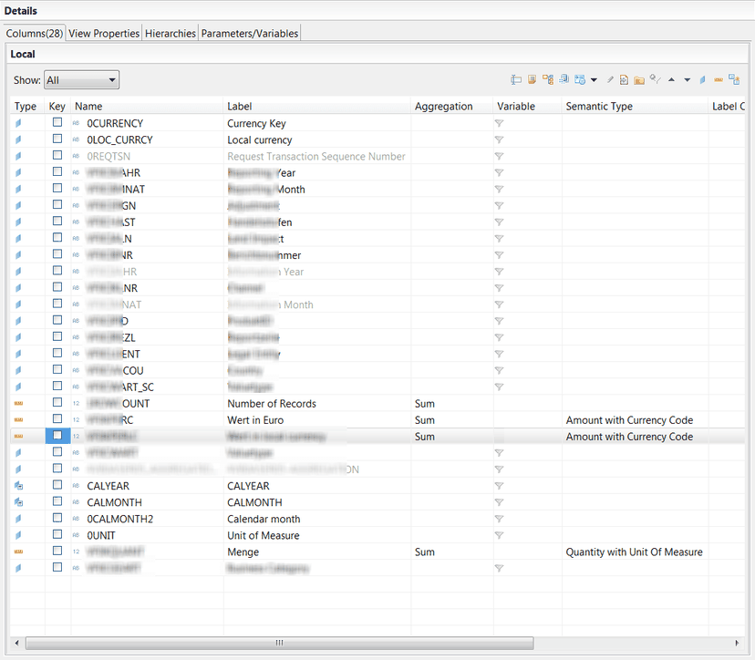 HANA View Semantics View