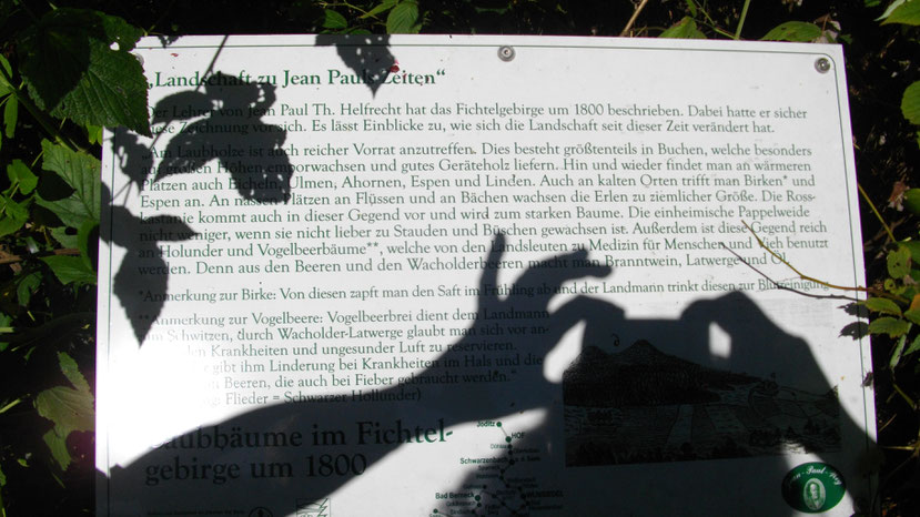 7. Tafel "Landschaft zu Jean Pauls Zeiten" - Laubbäume im Fichtelgebirge um 1800