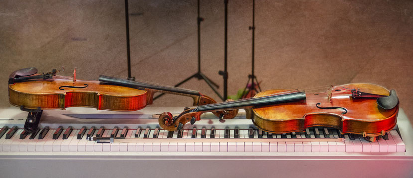 violaquartets Webseite!
