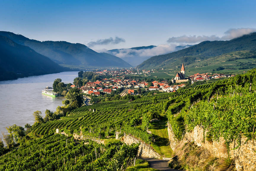 Vineyards in the Wachau (https://www.donau.com/fileadmin/_processed_/6/1/csm_Wei%C3%9Fenkirchen_Landschaft___Robert_Herbst_1fa8069932.jpg)