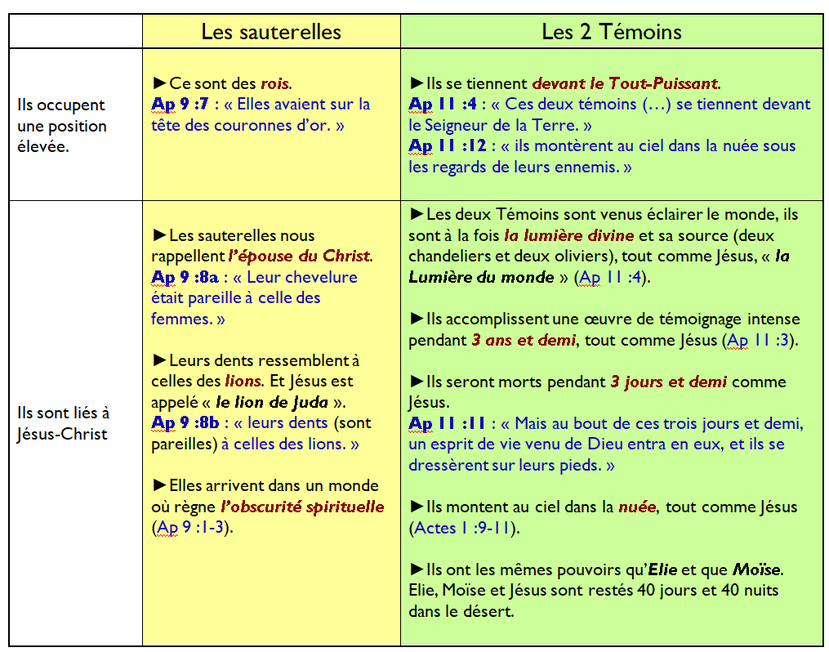 Les sauterelles et les 2 Témoins ont reçu la même mission divine, celle d’avertir les habitants de la terre de la destruction prochaine de ce monde par Dieu. Cette nouvelle est un véritable tourment pour la plupart des humains. 