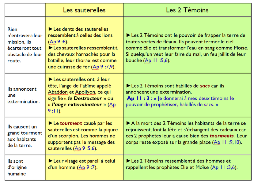 Les sauterelles et les 2 Témoins occupent une position élevée, ce sont des rois, messagers de Dieu. Ils possèdent de nombreux pouvoirs et sont très proches de Jésus-Christ. Les sauterelles et les 2 Témoins représentent les 144'000 cohéritiers du Christ.