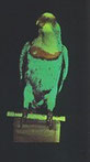 Un pappagallo imbalsamato fotografato con il procedimento Lippmann intorno al 1890