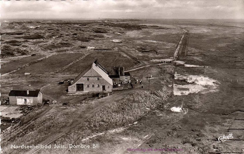 1959