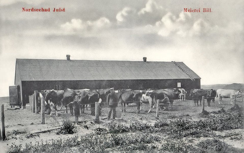 1911 Meierei BILL