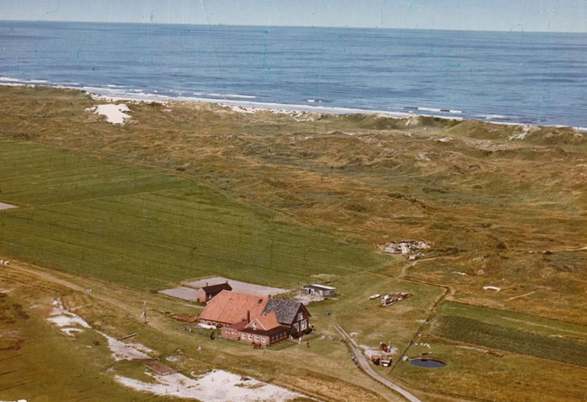 1967