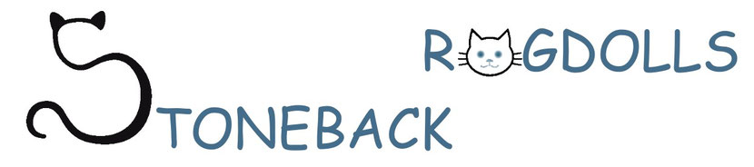 stoneback-ragdolls