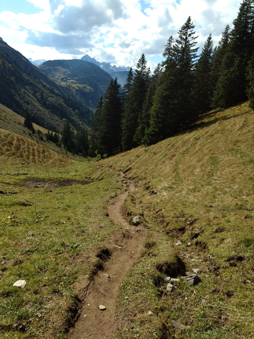 Der Eselweg zieht sich ordentlich in die Länge