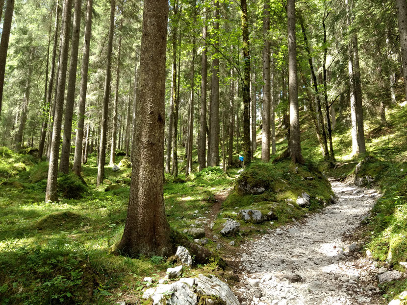 Toller Weg kurz vor der Bockhütte