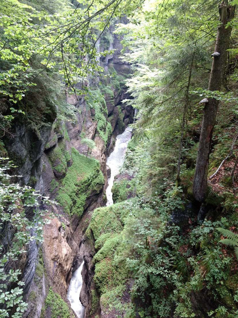 Weg oberhalb der Partnachklamm