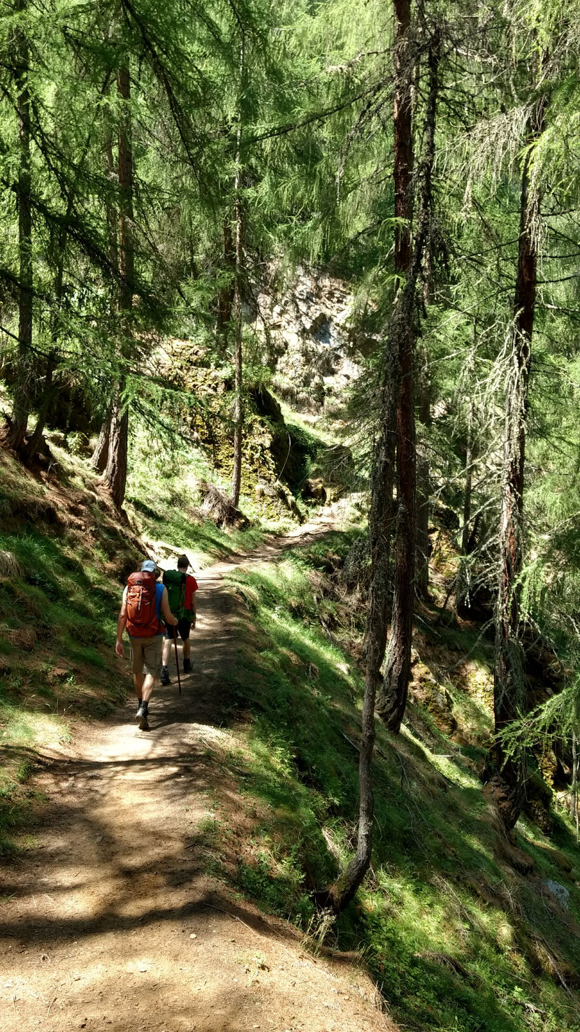 Gemütliches Wandern auf dem Meraner Höhenweg
