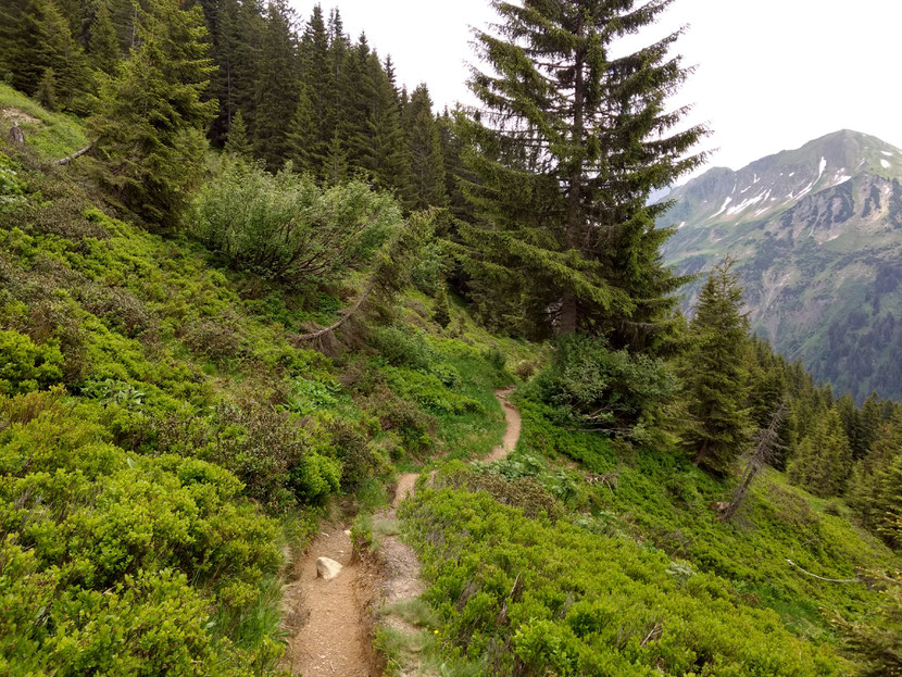 Gemütlich gehts hinab nach Baad