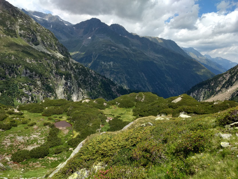 Grüne Hänge oberhalb der Sulzenauhütte