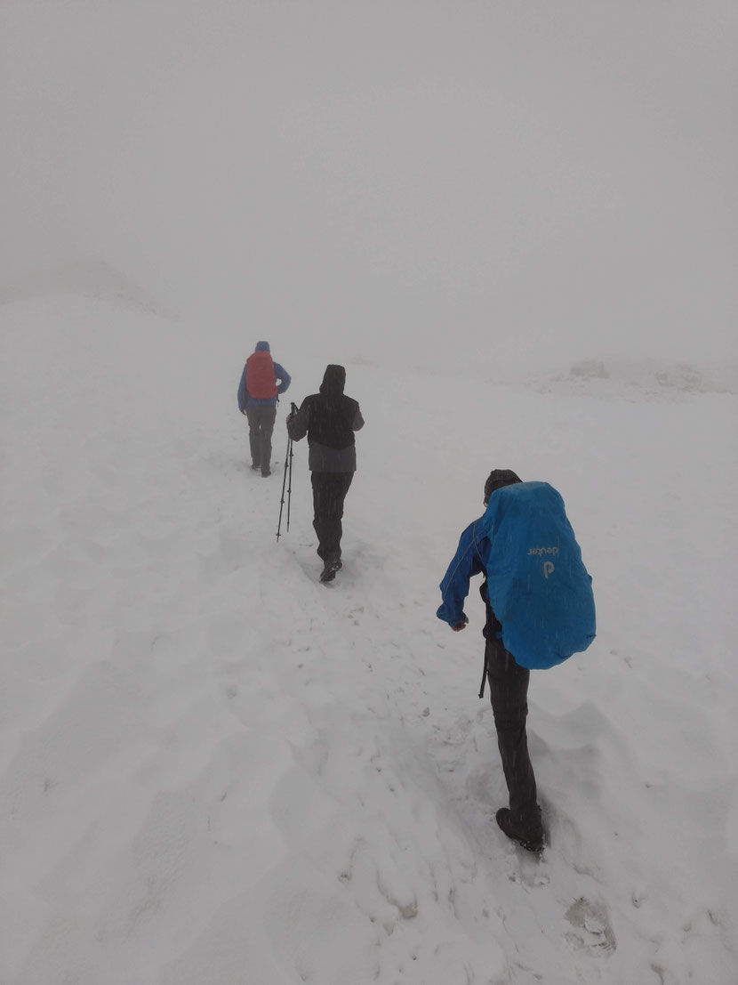 Geschlossene Schneedecke ab 2.300m