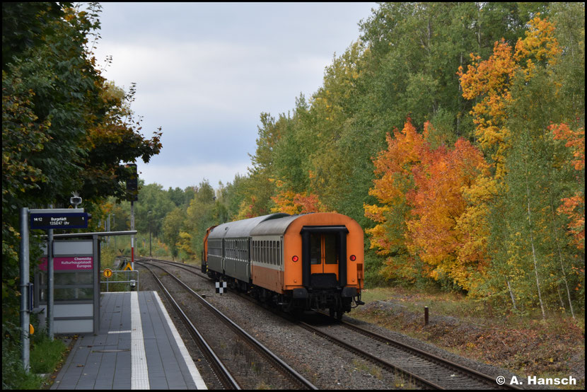 Der Städteexpress-Wagen am Zugschluss fügt sich wunderbar in den Herbstwald ein