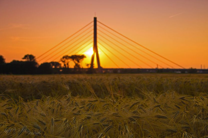 Sonnenuntergang in Uedesheim mit Blick auf die Fleher Brücke