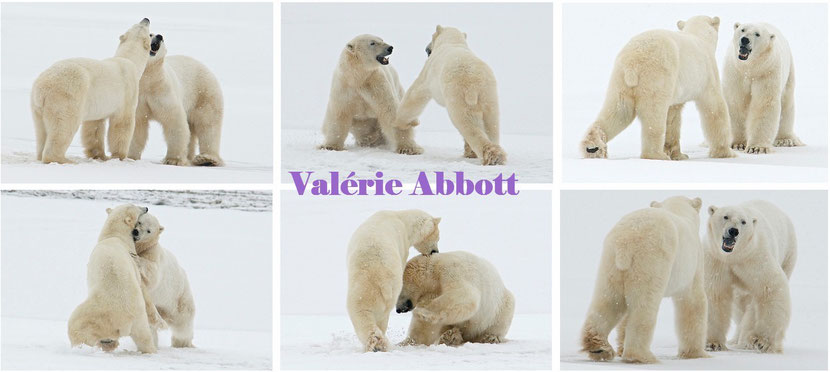 valerie abbott