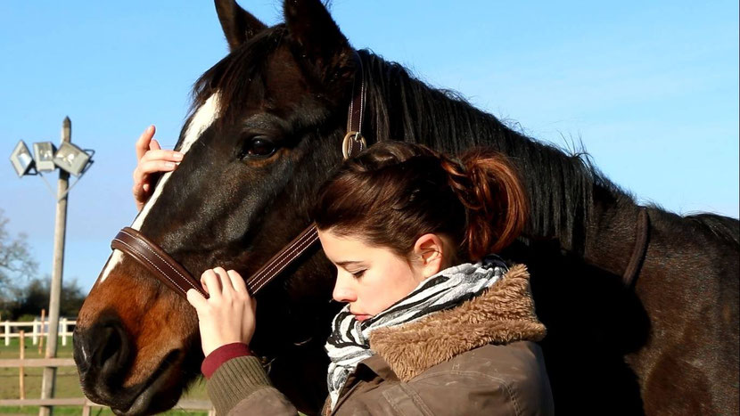 ostheopathe animaliere emmanuelle lethon